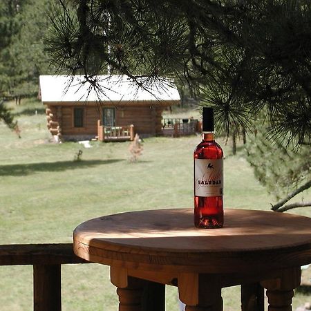 Renegade Log Cabin Custer Buitenkant foto