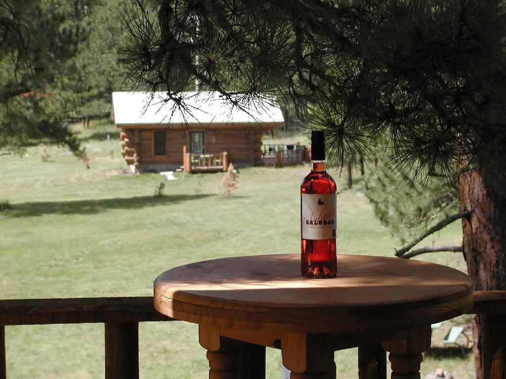 Renegade Log Cabin Custer Buitenkant foto